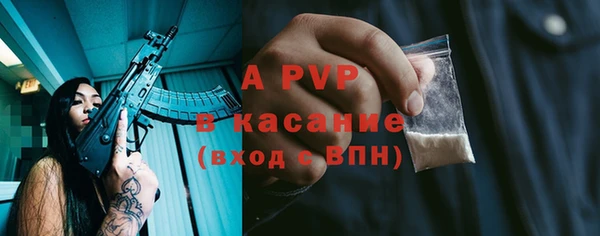 индика Горно-Алтайск