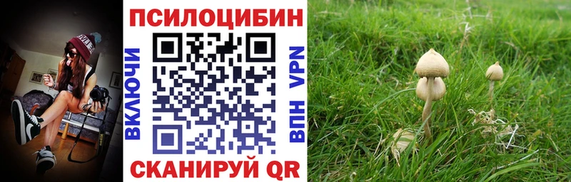 Псилоцибиновые грибы прущие грибы  купить закладку  Североморск 